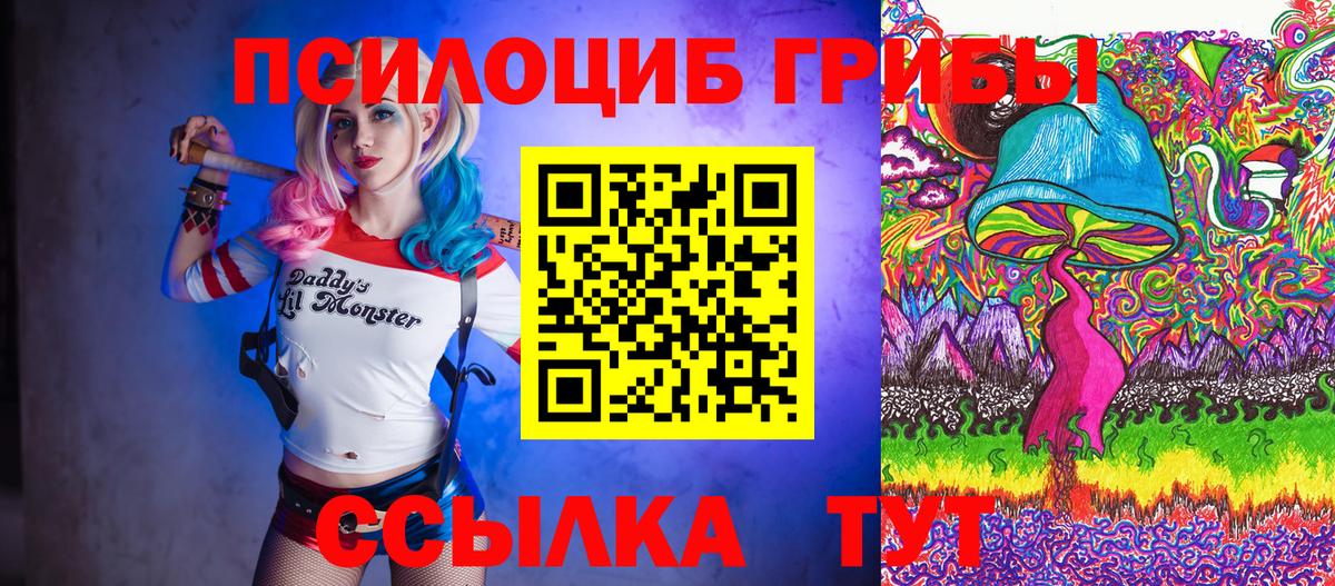 Узловая  Псилоцибиновые грибы Psilocybine cubensis  Вход с VPN 